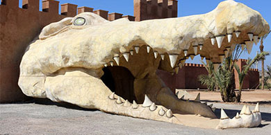 4 ha dédié aux crocodiles à Agadir, une première au Maroc.